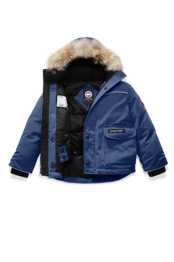 baffin young eiger