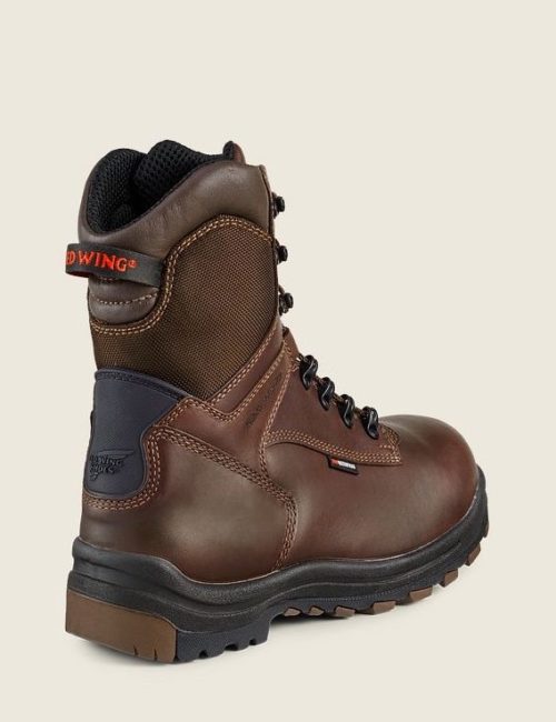 3548 Red Wing (2)